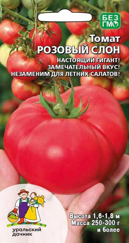 Томат РОЗОВЫЙ СЛОН Настоящий гигант! Замечательный вкус! Незаменим для летних салатов!