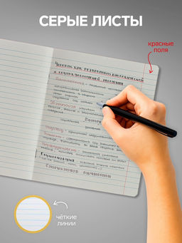 Комплект тетрадей из 10 штук, 24 листа в линию Calligrata «Однотонная Новая Школьная. Эконом», обложка мелованная бумага, ВД-лак, блок №2, белизна 75% (серые листы), 5 видов по 2 штуки
