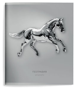 Цена за 2 шт. Тетрадь 48 л. А5 клетка, на скрепке, Schoolformat ЖИДКИЙ МЕТАЛЛ География мелованный карто...