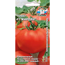 Томат Жирдяй F1 0,05г (СеДеК)