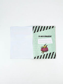 Подарочный набор. анкета для мальчиков А5, 16 л., ручка 23 Февраля - Artfox фото 4