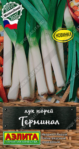 6031U Лук порей Терминал 1гр