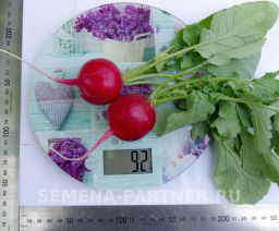 Редис Дуся - Партнер фото 3