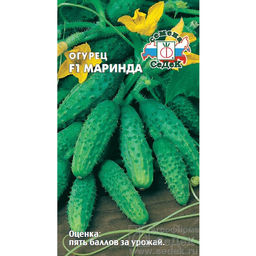 Огурец Маринда F1 0,15г (СеДеК)