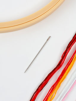 Вышивка гладью на пяльцах Полевые цветы, 20?20 см