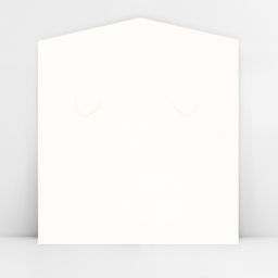 Цена за 5 шт. Конверт для денег фигурный «Котик», 17.5 х 8 см