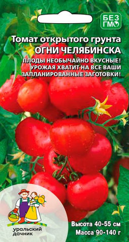 Томат ОГНИ ЧЕЛЯБИНСКА Необычайно вкусны! Урожая хватит на все запланированные заготовки, да ещё и родственникам дадите!