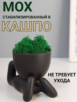 Стабилизированный мох в кашпо из керамики Мистер Грин на лайте, 8.5712 см, чёрный