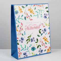 Цена за 2 шт. Пакет подарочный ламинированный, упаковка, Best wishes, L 28?38?9 см