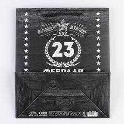 Цена за 2 шт. Пакет подарочный ламинированный, упаковка, С 23 февраля, ML 23?27?11.5 см