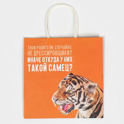 Цена за 2 шт. Пакет подарочный, упаковка, Самец, 22?22?11 см