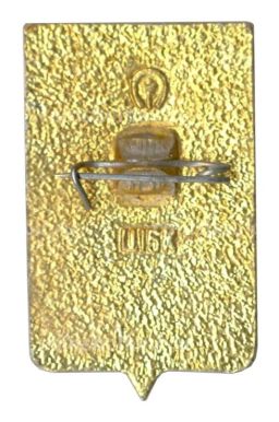 Значок Воронеж