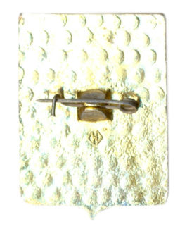 Значок Владимир