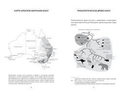 Хюгге от коал. Жизнь среди деревьев. Клод Д. - Колибри фото 4