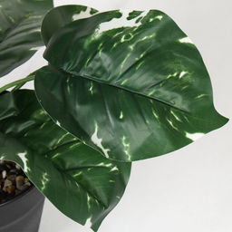 Цветочная композиция Сциндапсус 40 см / ZH-009 /уп 48/ - Галеонтрейд фото 3