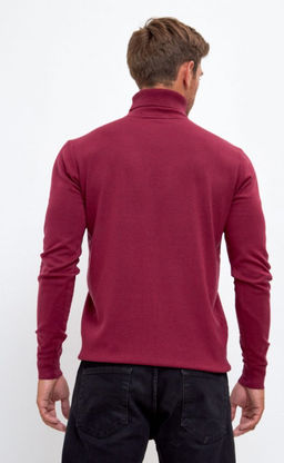 Водолазка мужская F121-01-868 бордовая - Fine joyce фото 18