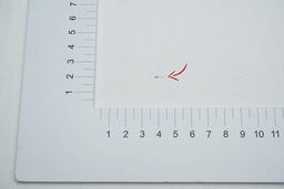Бязь цв.Белый, СОРТ2, ш.0.8м, хлопок-100%, 138гр/м.кв, Тейково - Купава фото 4