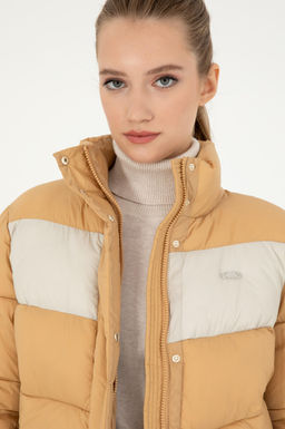 Kad_n Camel Mont