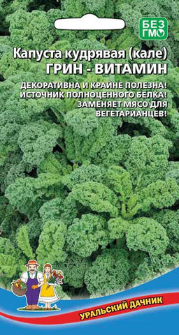 Капуста листовая (кале) ГРИН-ВИТАМИН  Замечательный сорт с бахромчатым листом, незаменима в функциональном и лечебном питании, переносит заморозки до -18 C!