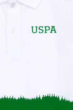 U. S. Polo Assn Зеленая футболка с воротником-поло для мальчика - U.s. polo assn фото 4