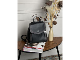 Сумка-рюкзак Lanotti 3333/Черный