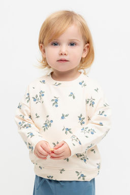 Crockid _ КР 302308/айвори,голубика к561 джемпер (свитшот) д/дев яс