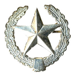 Значок Кокарда Звезда