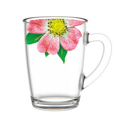 Кружка 300мл "Живая природа" в ассортименте арт. 334-Д