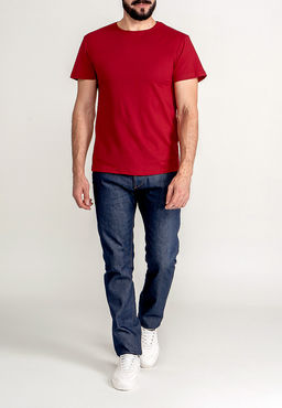 Футболка мужская короткий рукав GREG G145-RD-1056_R (красный)  фото 3