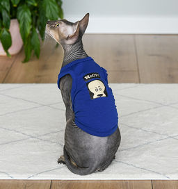 Майка для кошек и собак "Азур" синяя с принтом, размер M лн26ос