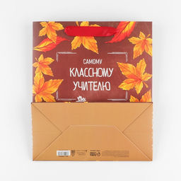 Цена за 2 шт. Пакет подарочный ламинированный, упаковка, «Учитель года», ML 27 х 23 х 11.5 см