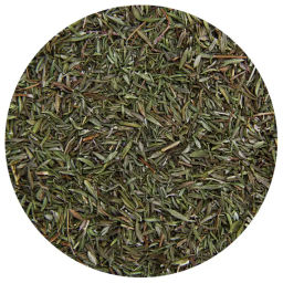 Чабрец (Тимьян)