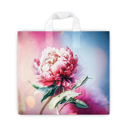 Цена за 50 шт. Пакет подарочный «Сандра», полиэтиленовый с петлевой ручкой, 37×34 см, 70 мкм