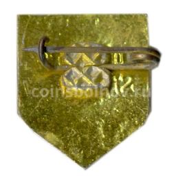 Значок Сосновка