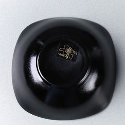 Салатник квадратный 500 мл 165 мм черный / BNFW65T (Black) /уп 6/72/ - Галеонтрейд фото 5