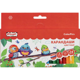 Карандаши цветные 24 цв/наб 6-гран №1School/Комус Класс ColorPics кртк,88мм  фото 2