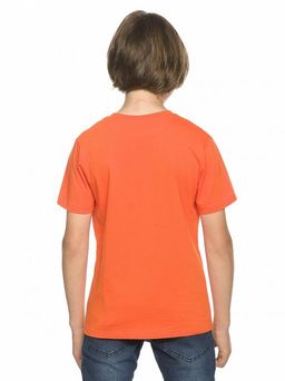 Pelican BFT4215/2 футболка для мальчиков  фото 2