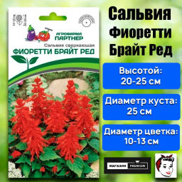 Сальвия сверкающая Фиоретти Брайт Ред - Партнер фото 5