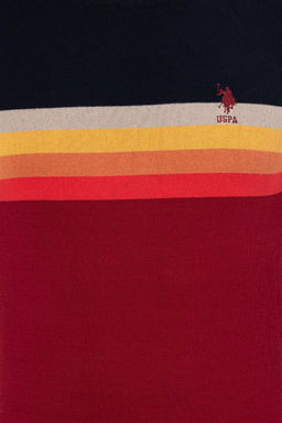 Мужской трикотажный свитер вишневого цвета с круглым вырезом Неожиданная скидка в корзине - U.s. polo assn фото 6