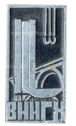 Значок ВИИГХ