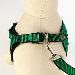 Комплект амуниции рельефный, поводок 120 х 2 см, ОГ 44-50 см, зелёно-чёрный - Пижон фото 4