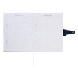 Дневник школьный для 1-11 классов Favorite, мягкая обложка, на кнопке, искусственная кожа, тиснение фольгой, хлястик, ляссе, 48 листов