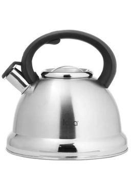 Чайник LARA 4,5 л, матовая полировка, автоподъем крышки, капсулир.индукционное дно (LR00-59)  фото 3