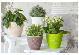 Кашпо Ротанг (3,0л) Цв. Белый/белый (Арт. КШ-7953) - Вмс фото 2