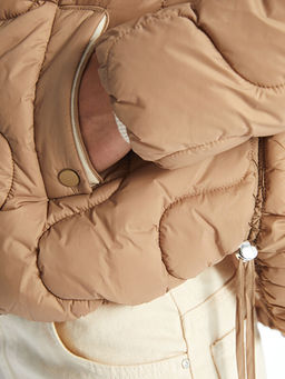 Dik Yaka Kendinden Desenli Kad?n ?i?me Mont