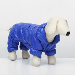 Комбинезон Блеск, размер XS (ДС 19 см, ОГ 28, ОШ 19 см, до 3 кг), синий