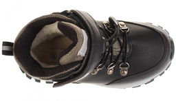 Оксфорд Зебра 18719-1