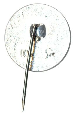 Значок Павловск