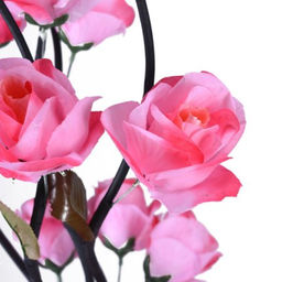 Сухоцвет набор 5 штук 150 см Роза / 18-16 /уп 100/ - ГалеонТрейд фото 4