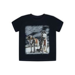 Футболка Аляска Темно-синий